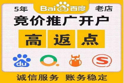 某电商平台信息流广告的精准推广策略